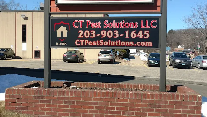 CT Pest Solutions Picture 1