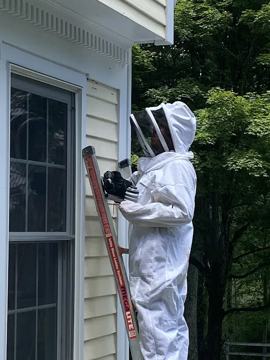 CT Pest Solutions Picture 2