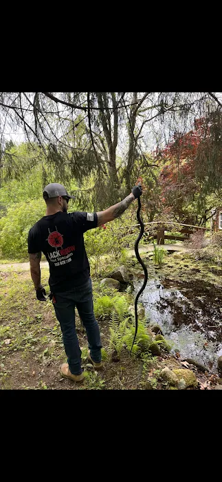 Black Widow Pest Specialists Picture 1