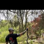 Black Widow Pest Specialists