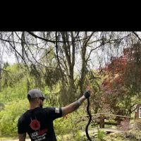 Black Widow Pest Specialists ico