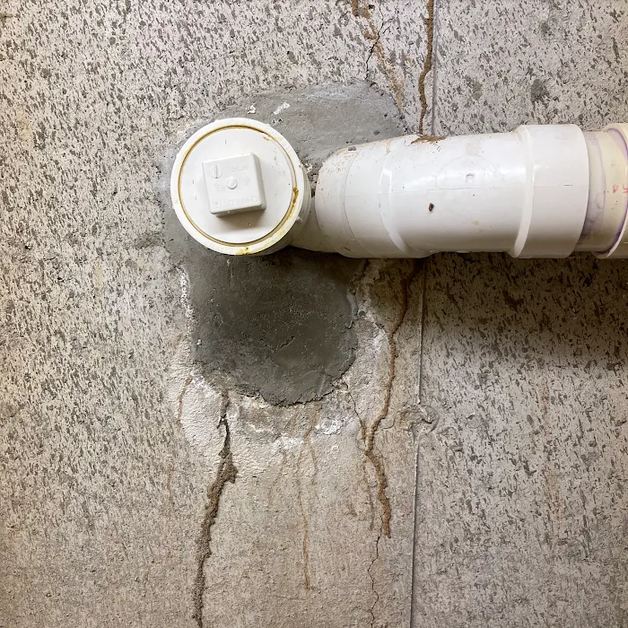 Envirocare Pest Control, LLC Picture 6
