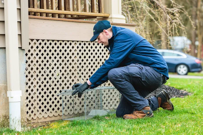 ProSource Pest Solutions Picture 2