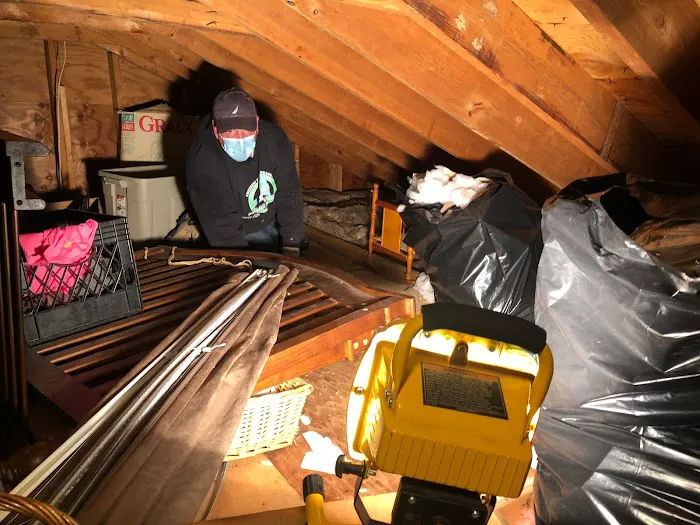 Vector Wildlife & Pest Control Picture 1