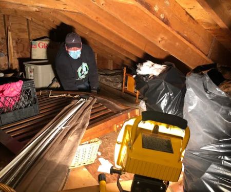 Vector Wildlife & Pest Control