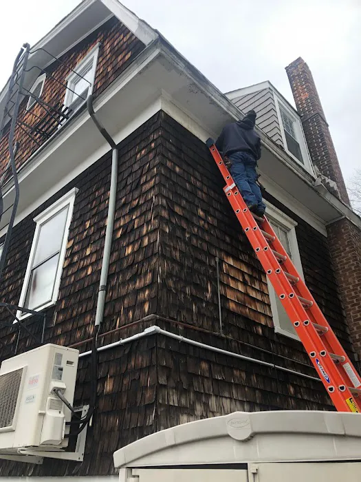 Vector Wildlife & Pest Control Picture 4