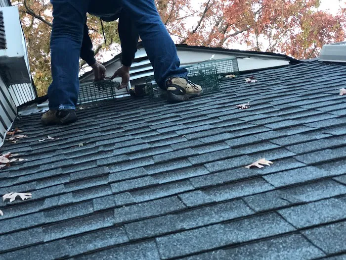 Vector Wildlife & Pest Control Picture 3