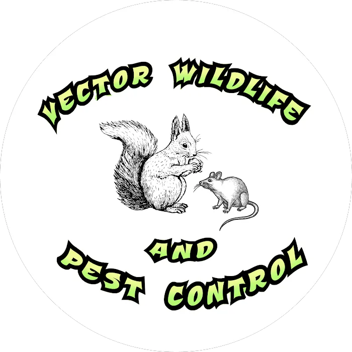 Vector Wildlife & Pest Control Picture 6