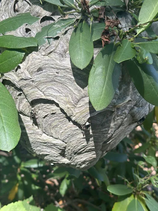 J & L Pest Control, Inc. Picture 1