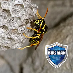 Connecticut Pest Elimination, LLC. Picture 8