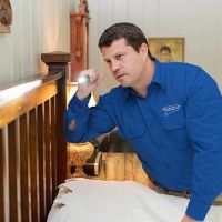 Connecticut Pest Elimination, LLC. ico