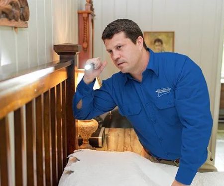 Connecticut Pest Elimination, LLC.