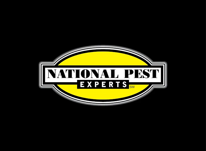 National Pest Experts Picture 2