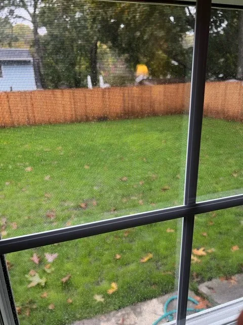Emerald Magic Lawn Care Picture 5