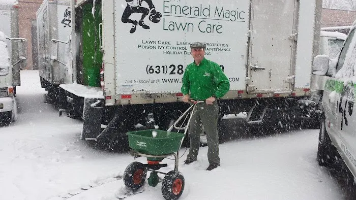 Emerald Magic Lawn Care Picture 8