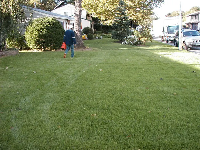 Emerald Magic Lawn Care Picture 9