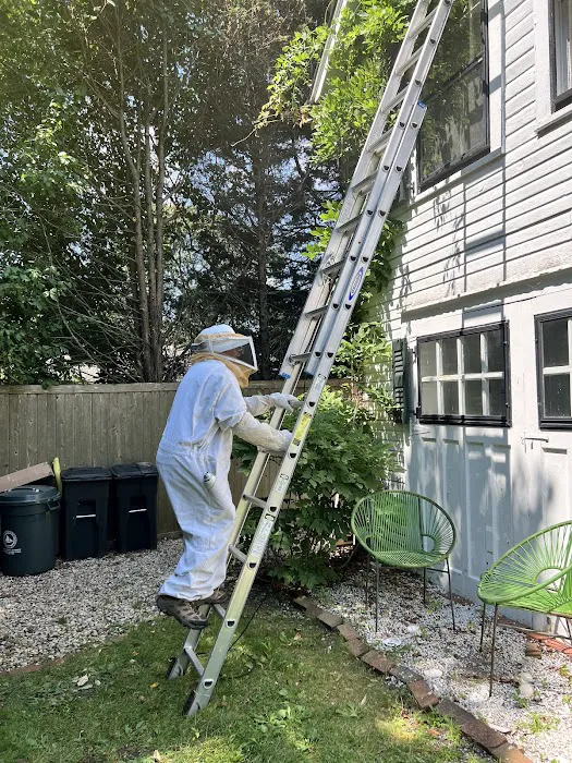 All Care Pest Control, Inc. Picture 2