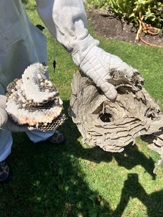 All Care Pest Control, Inc. Picture 10