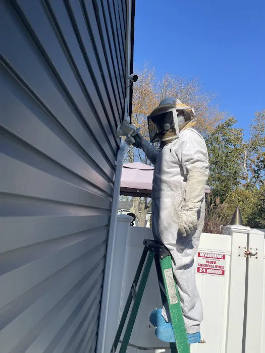 All Care Pest Control, Inc. Picture 4