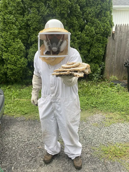 All Care Pest Control, Inc. Picture 3