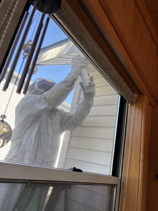 All Care Pest Control, Inc. Picture 7