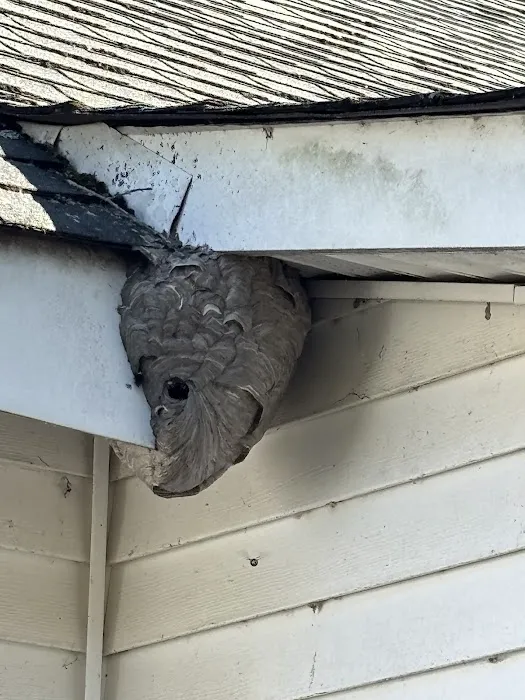 All Care Pest Control, Inc. Picture 6