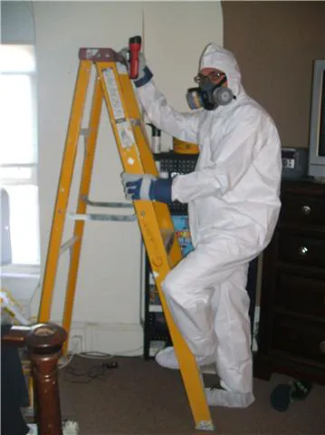 Marriott Termite and Pest Control Picture 1