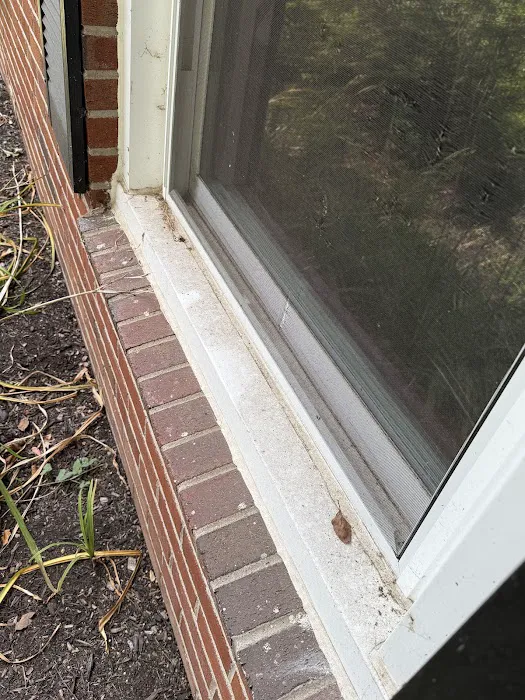 Greenix Pest Control Picture 10