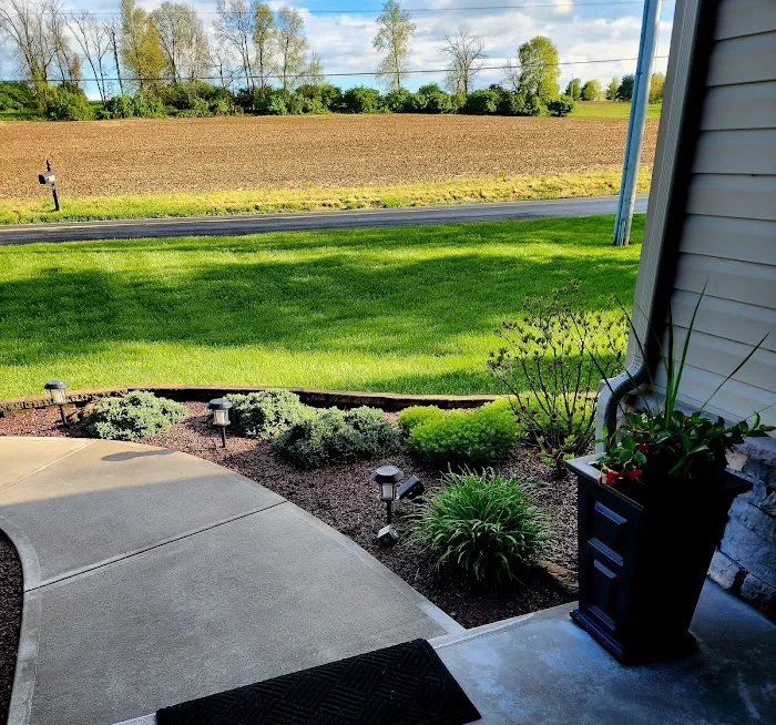 Greenix Pest Control Picture 7