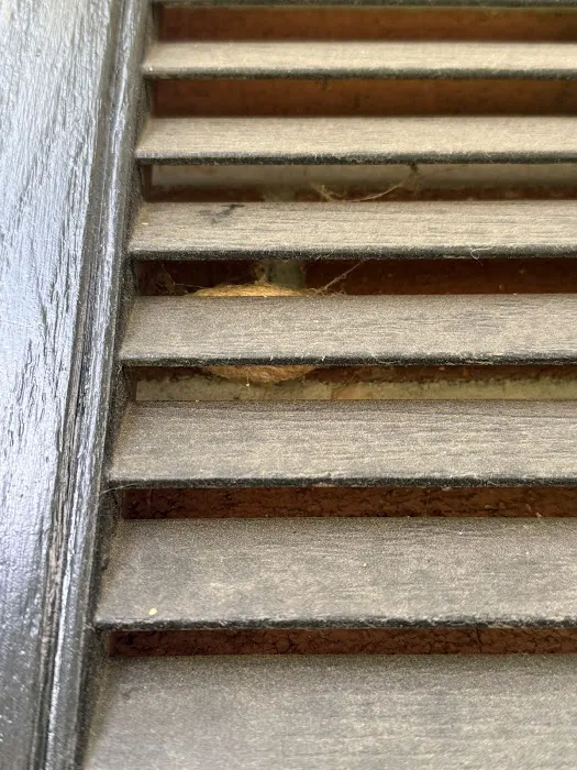 Greenix Pest Control Picture 3