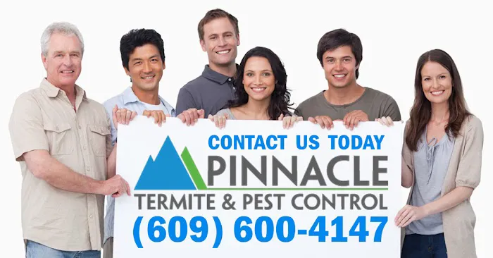 Pinnacle Termite And Pest Control, LLC Picture 2