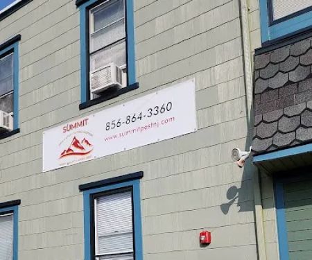 Pinnacle Termite And Pest Control, LLC