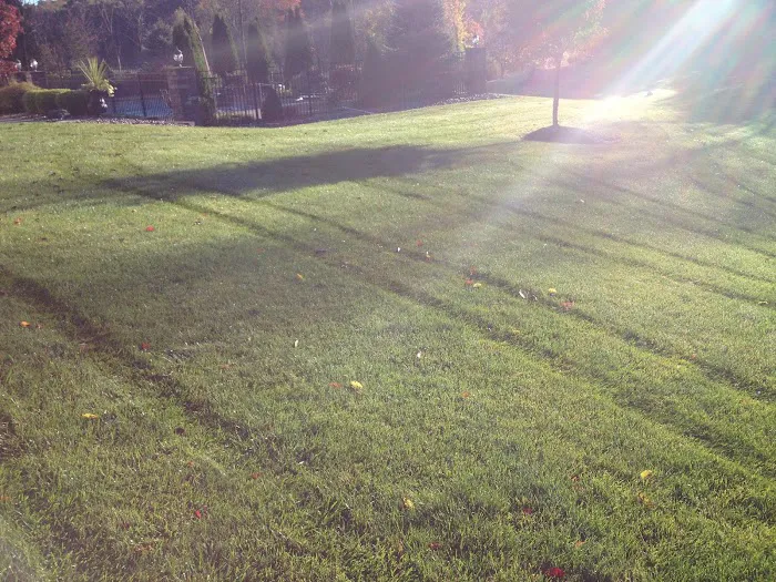 Lawn Doctor of Kingston, Poughkeepsie & Hudson Picture 10