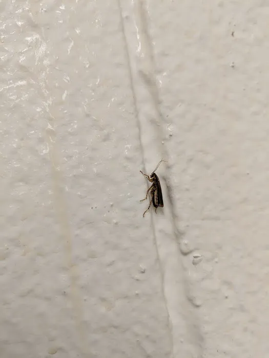 Valley Pest Control Management Inc. Picture 4