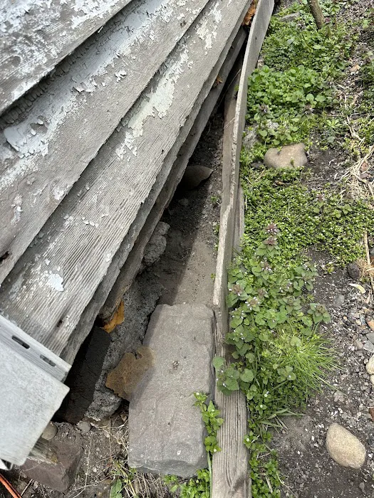 T&H NY PEST CONTROL Picture 7