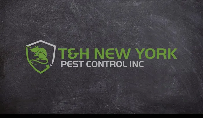 T&H NY PEST CONTROL Picture 5