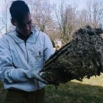 County Pest Control