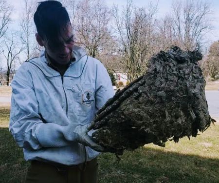 County Pest Control