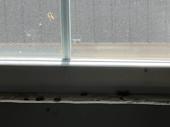 Sunset Pest Solutions Picture 2