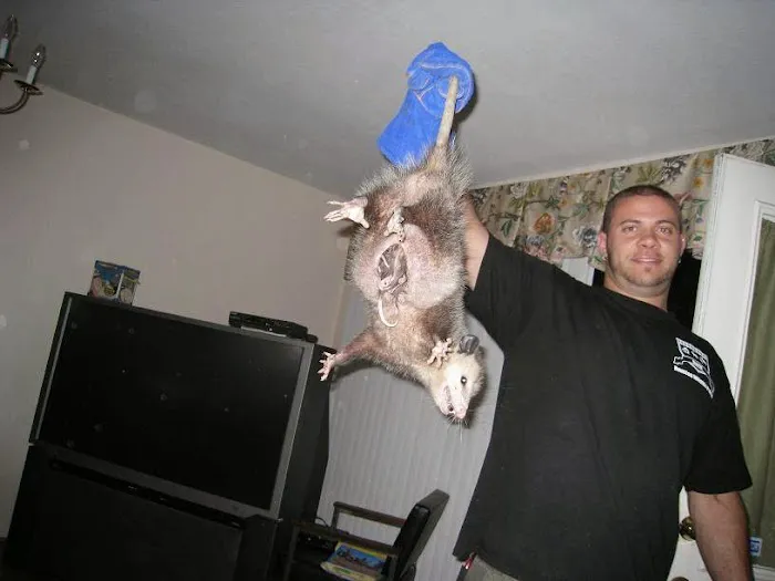 AAAnimal Pro Picture 1