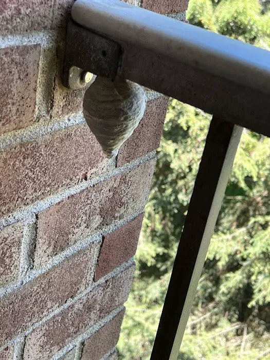 XPERT PEST CONTROL Picture 3