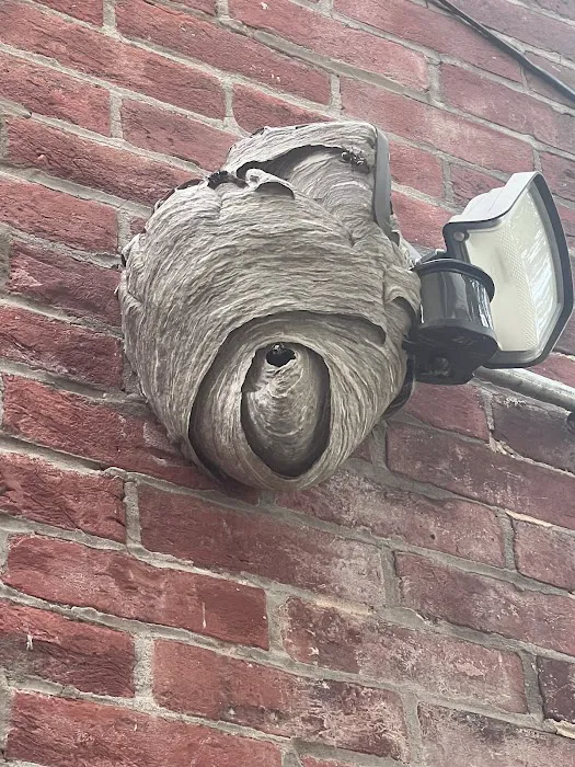 Sock'em Pest Control, LLC Picture 8