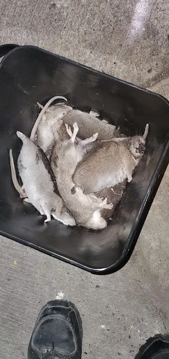 Sock'em Pest Control, LLC Picture 3