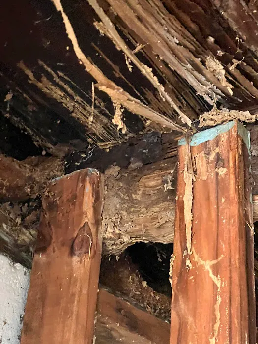 Sock'em Pest Control, LLC Picture 4