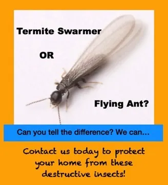 Shoreline Pest Solutions Picture 10