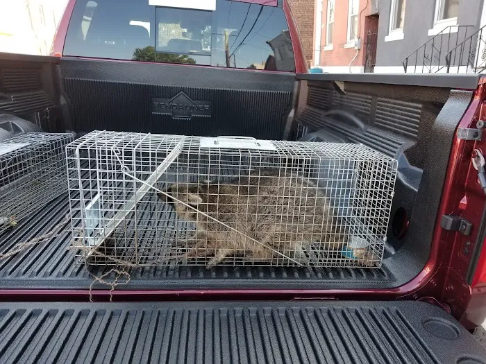 Fowler Pest Solutions Picture 4