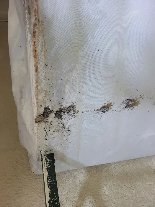 Fowler Pest Solutions Picture 3
