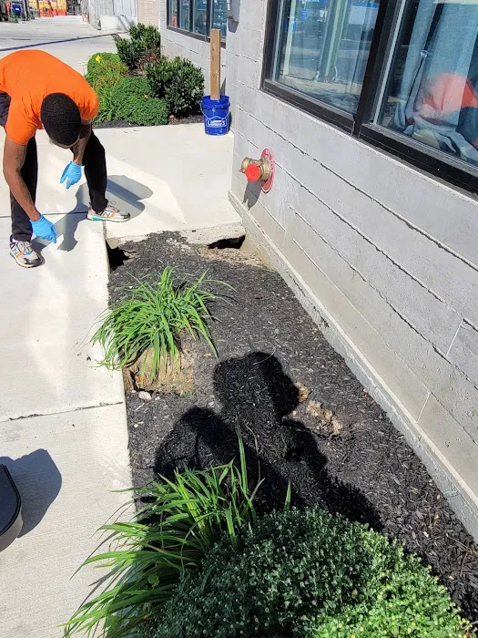 Fowler Pest Solutions Picture 8