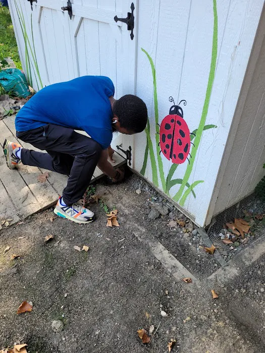 Fowler Pest Solutions Picture 6