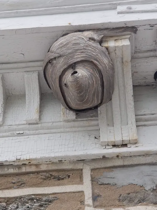 Fowler Pest Solutions Picture 5